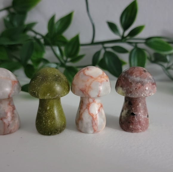 Mini mushrooms - Picture 3 of 10
